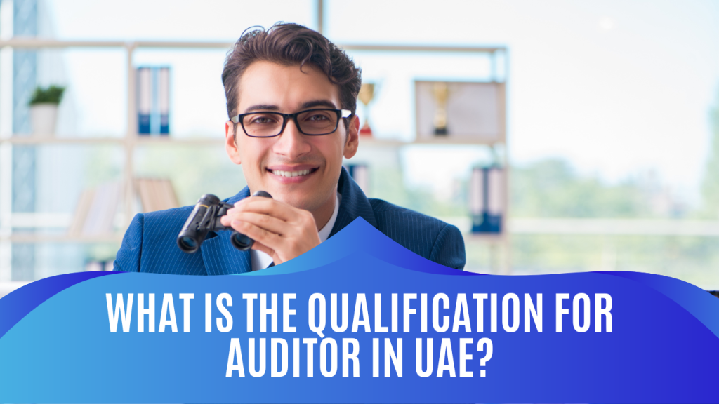 auditor in UAE